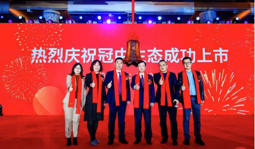蓝海项目成功案例分析