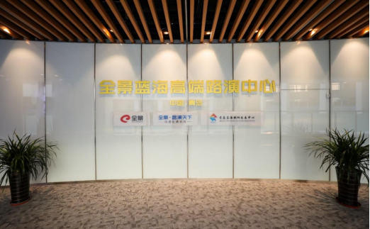蓝海项目成功案例分析