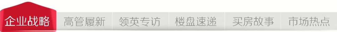 蓝海项目的产品定位