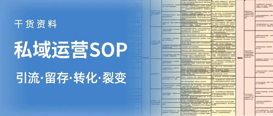 SEO如何助力流量变现