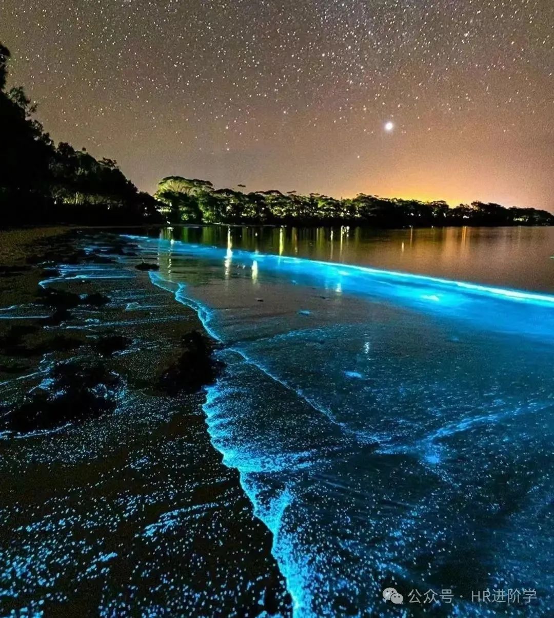 蓝海项目与红海项目的区别
