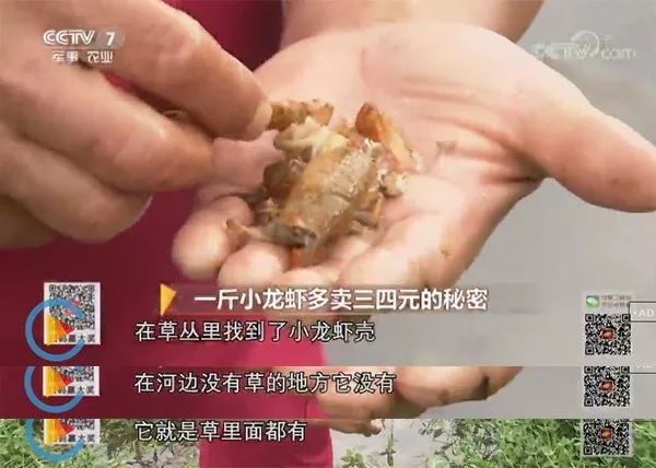 创业商机从何而来