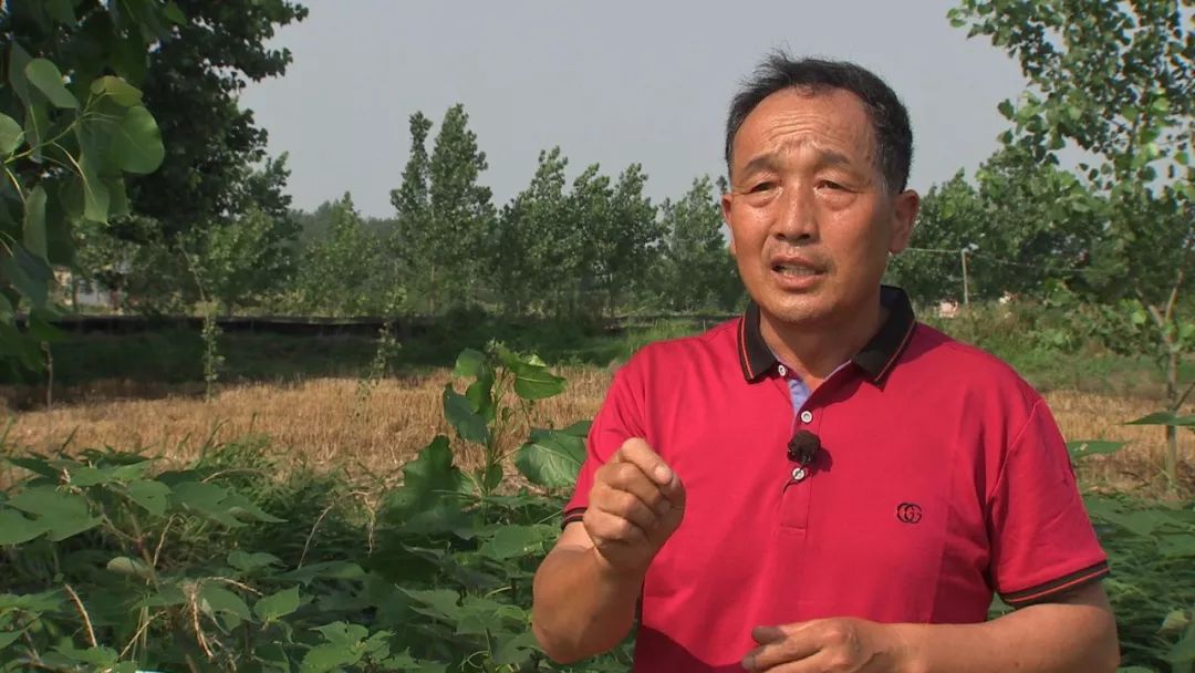 创业商机从何而来