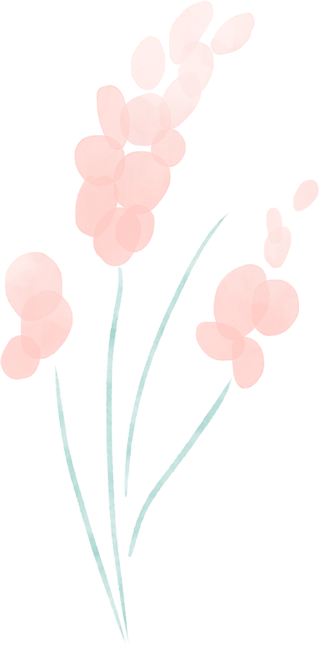 家政保洁