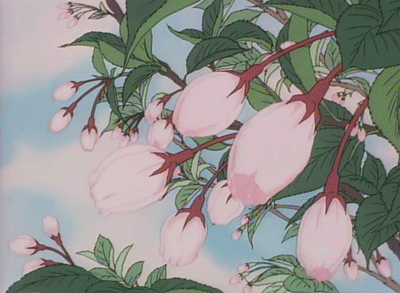火山写作