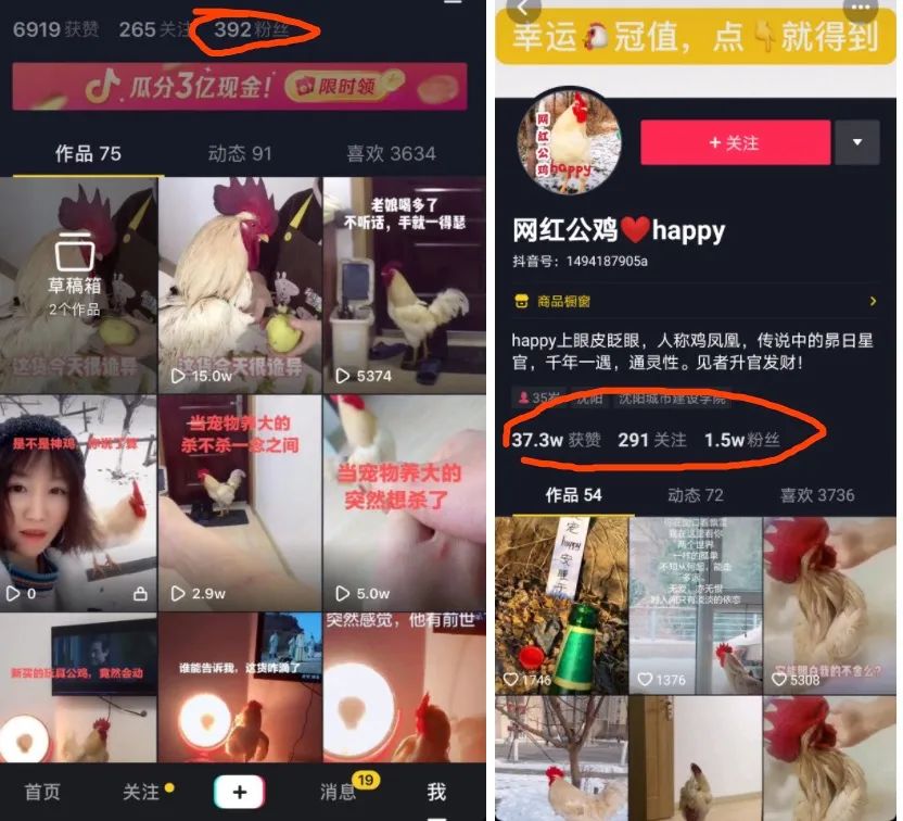 抖音0基础入门快速变现方法 抖音0基础入门快速变现方法