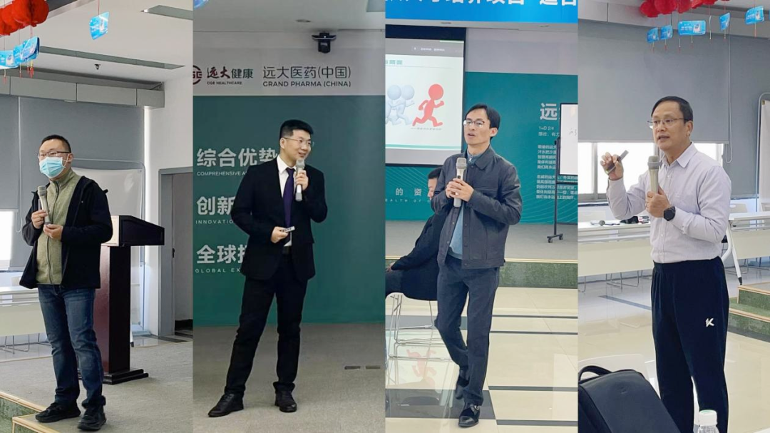 蓝海项目成功案例分析