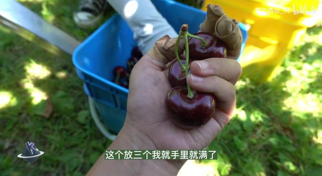 年轻人干什么有出路