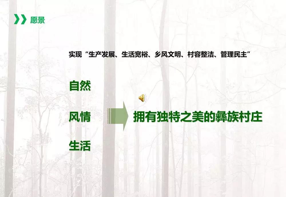 服务乡村项目案例