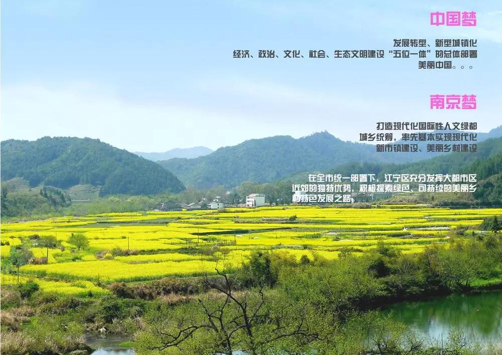 服务乡村项目案例