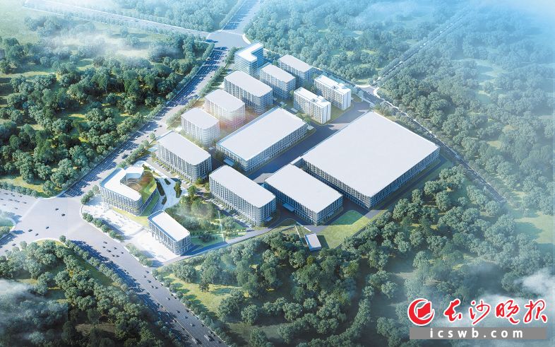低空经济产业创业方向