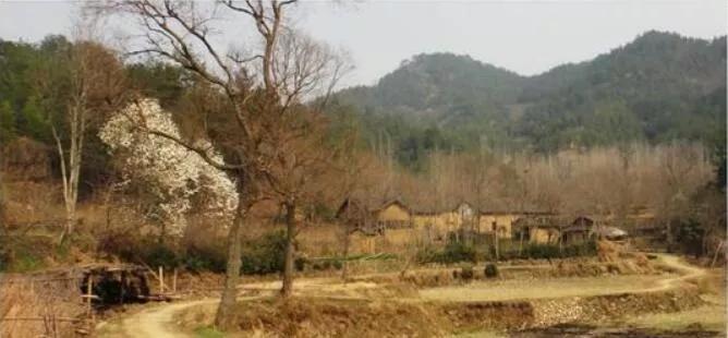 服务乡村项目案例