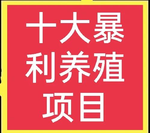 做养殖养什么好呢（十大高收益养殖项目）