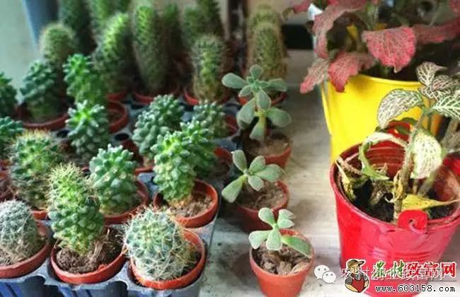 最赚钱的十种手工 最赚钱的十种手工