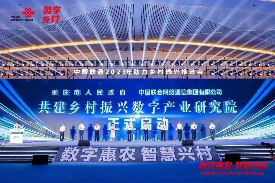服务乡村项目案例