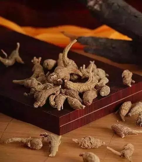 养殖致富好项目