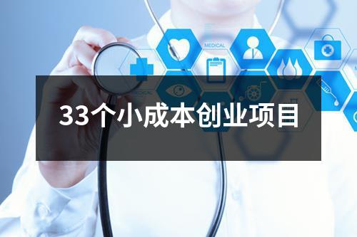 33个小成本创业项目