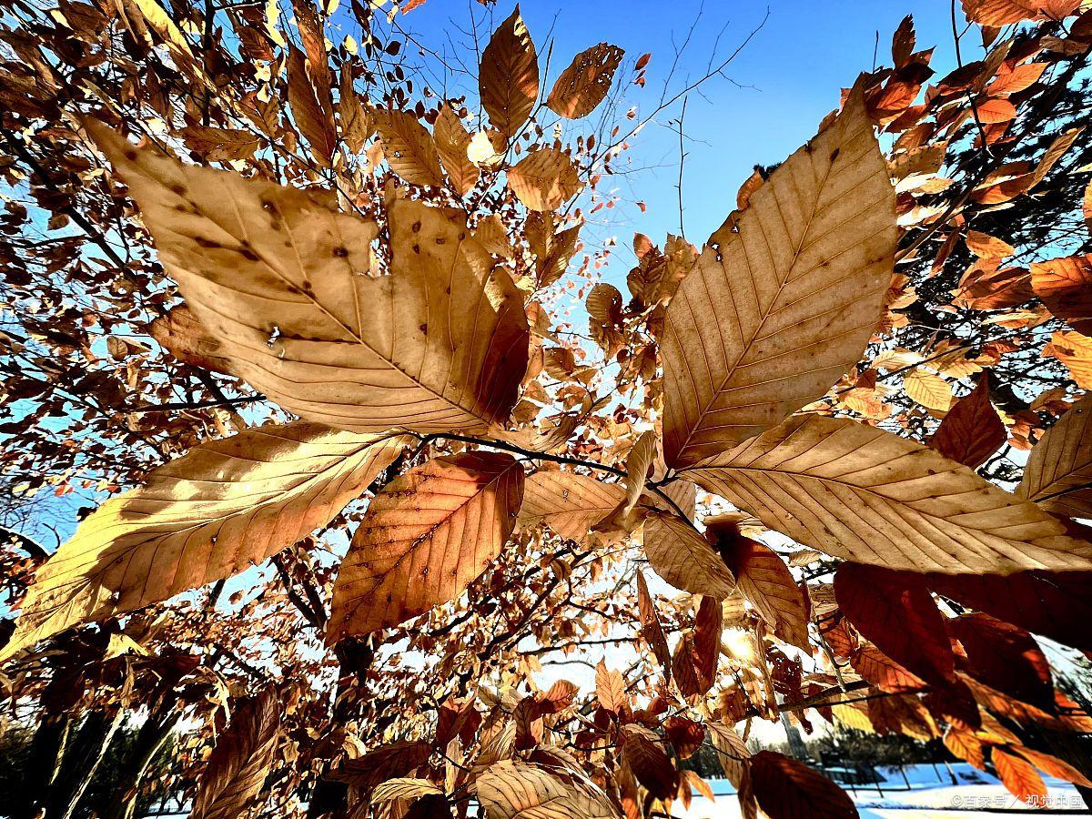 富人的思维方式 富人的思维方式