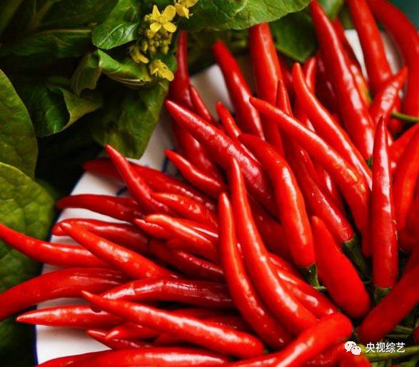 10个最好用的小妙招 10个最好用的小妙招