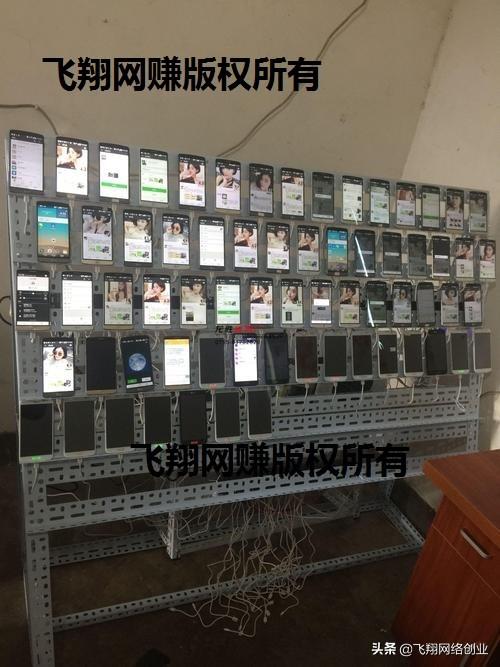 自动刷阅读赚钱脚本撸羊毛免费送？飞翔深度分析其中套路