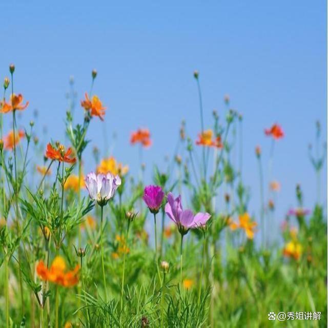 富人的8个复利思维