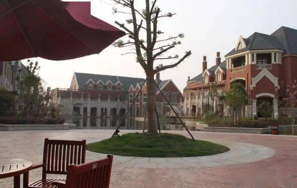 养老行业有哪些项目能做 养老行业有哪些项目能做