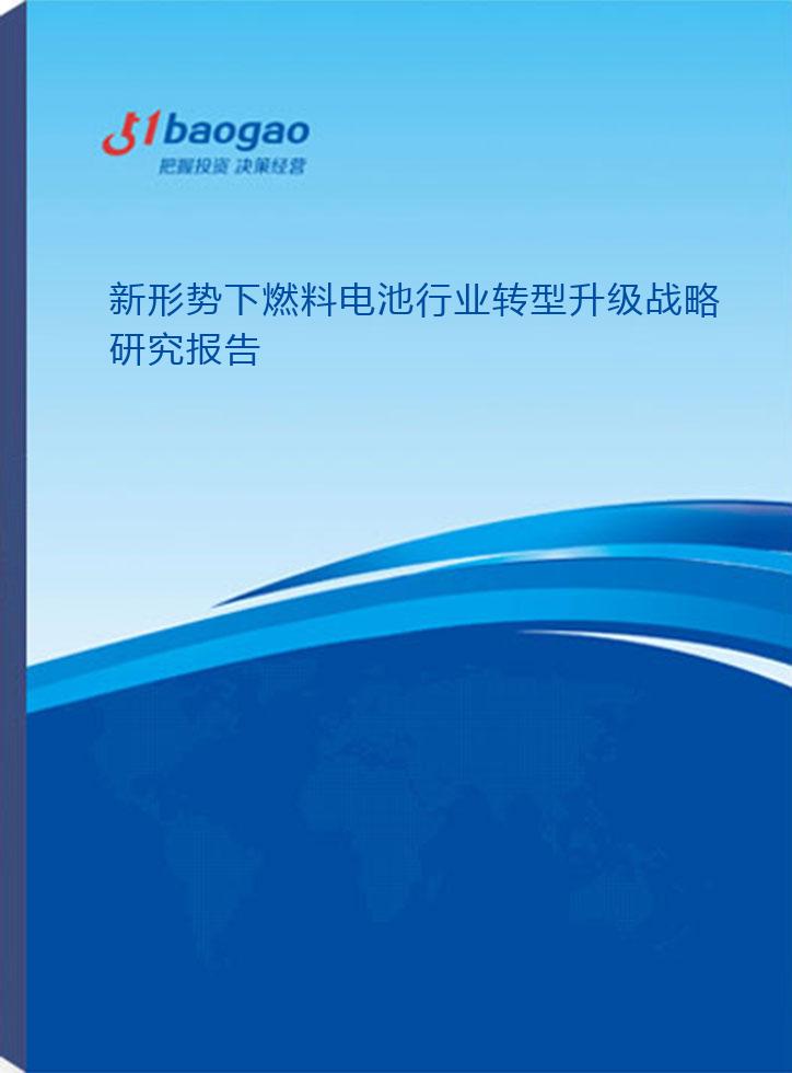 2024-2029年新形势下燃料电池行业转型升级战略研究报告