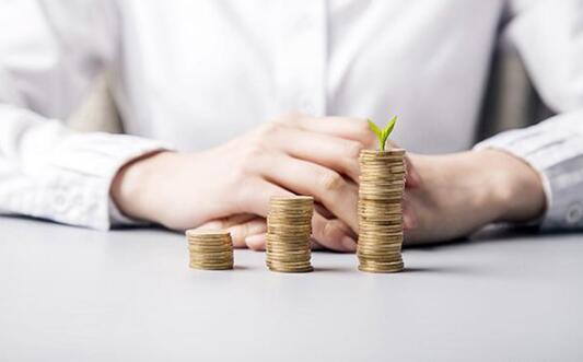 三千元创业的小项目 三千元创业的小项目