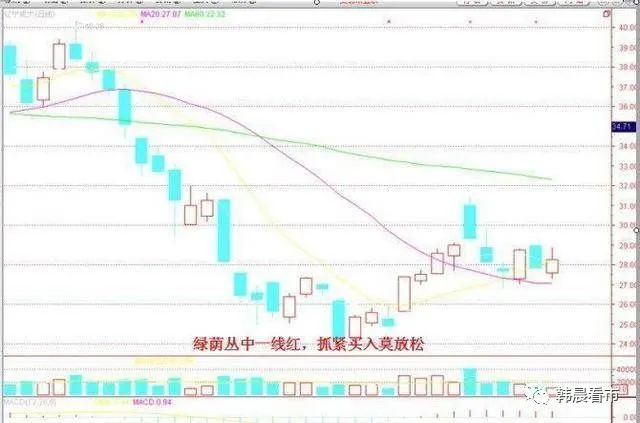 炒股最笨最佳方法