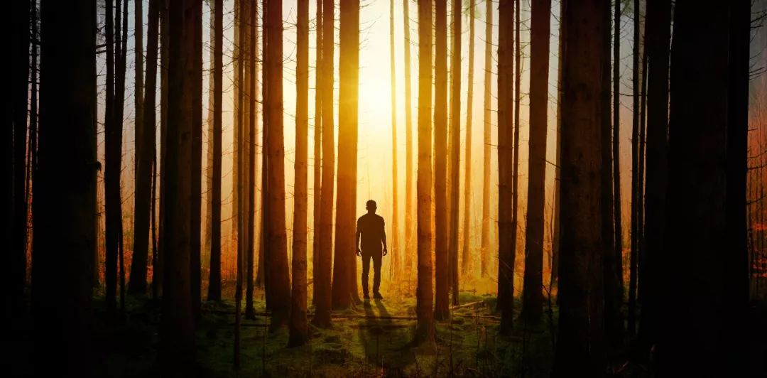 财务自由之路 财务自由之路