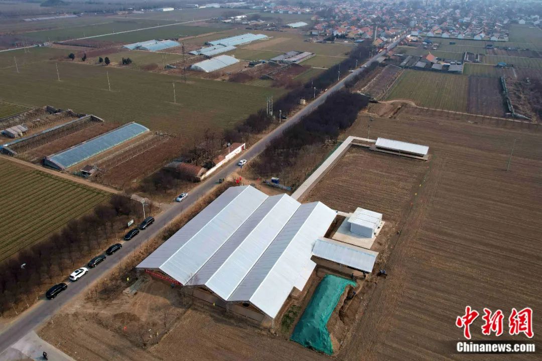 熊猫关键词工具