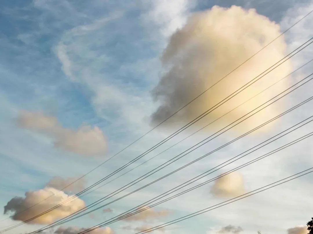 炒股是投机行为吗 炒股是投机行为吗