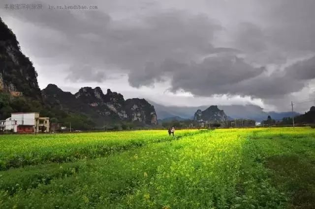 深圳必去的三条街