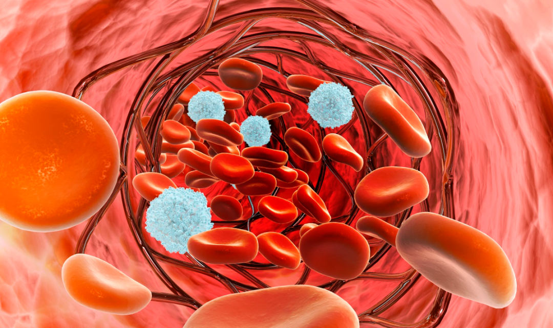 延缓衰老的十种方法