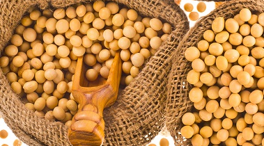 延缓衰老的十种方法