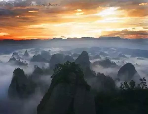 深圳必去的三条街