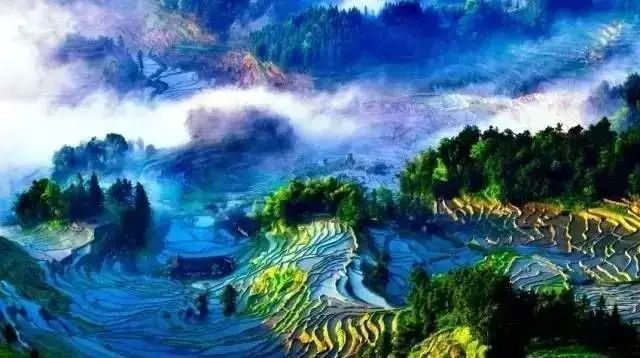 深圳必去的三条街