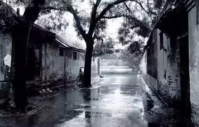 深圳必去的三条街