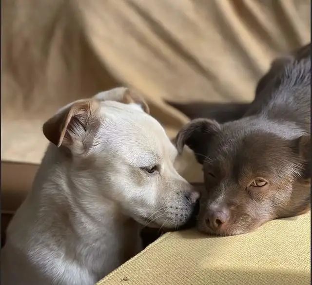 打工的钱要不回来找哪里解决 打工的钱要不回来找哪里解决