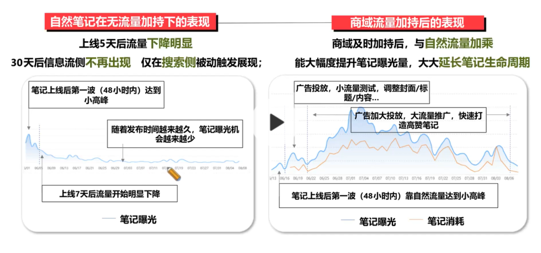 新手开公司实战指南