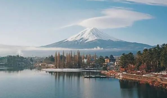 炒股最笨最佳方法