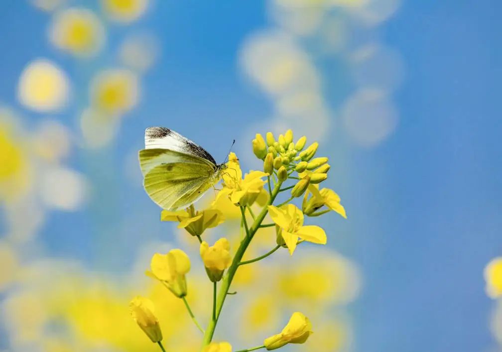 延缓衰老的十种方法