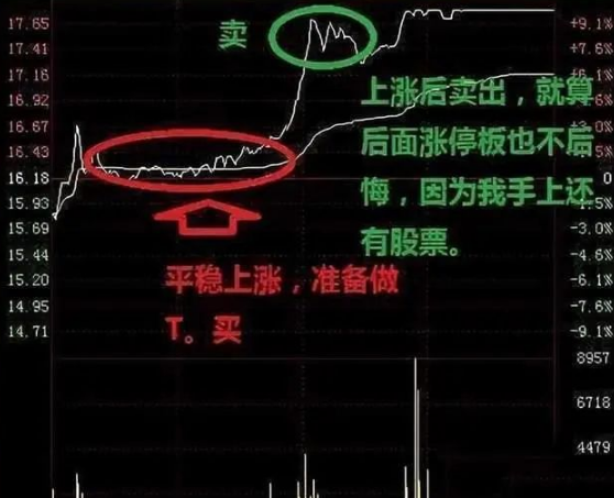 炒股最笨最佳方法