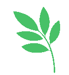 延缓衰老的十种方法