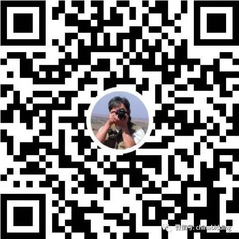 公开招标和公开竞价有什么区别