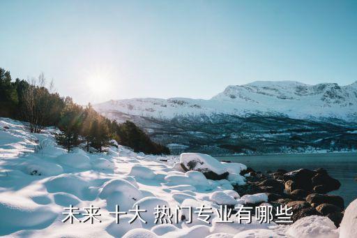 未来 十大 热门专业有哪些