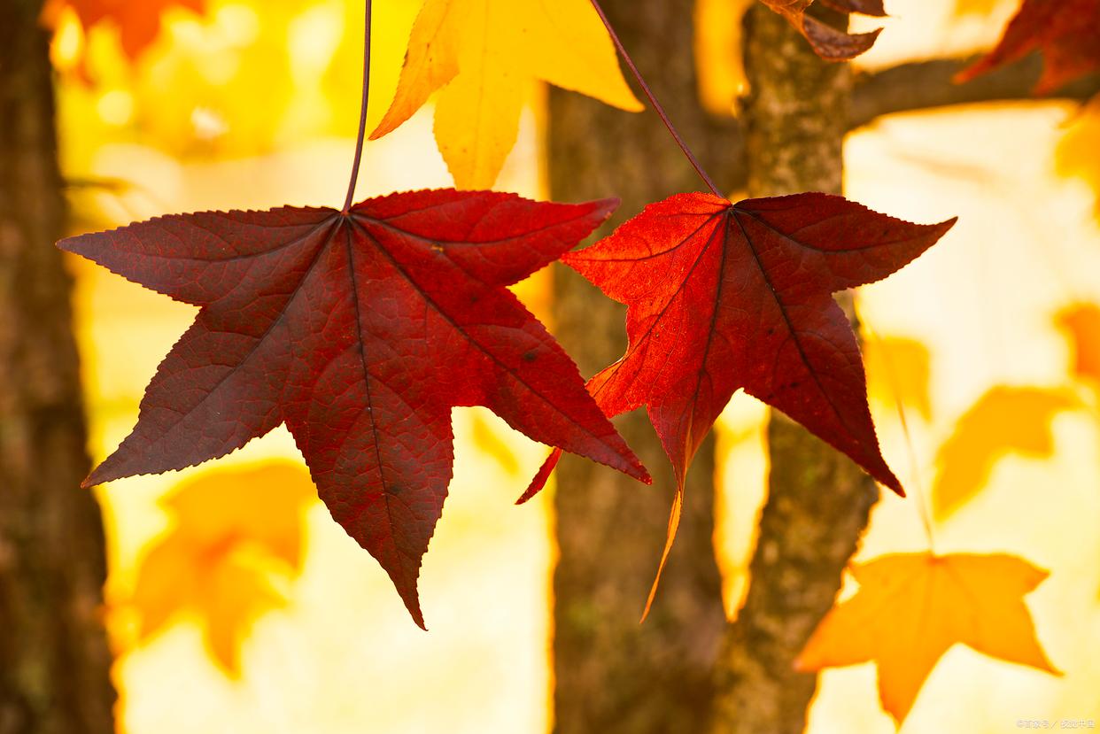 富人的思维方式 富人的思维方式