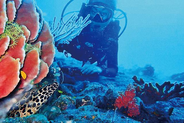 正在消失的职业 正在消失的职业