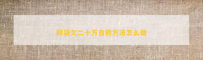 网贷欠二十万自救方法怎么做