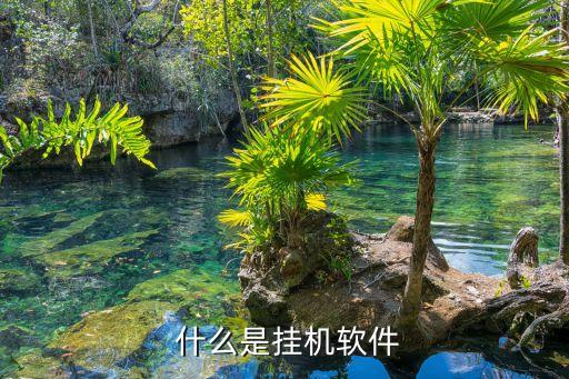 什么是挂机软件